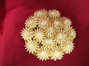 Chai from Yellow Leaf, top view