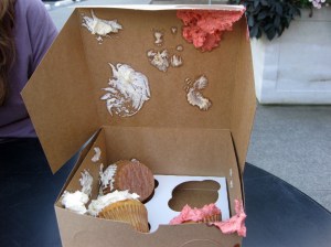Cupcake Catastrophy