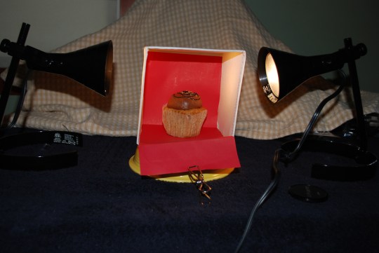 Mrs Shuck's cupcake studio- Click to enlarge