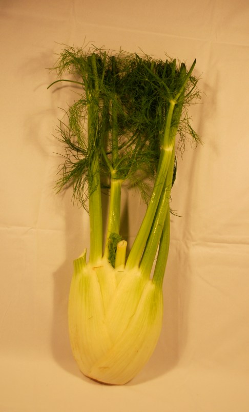 fennel