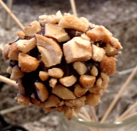 Goat Footed Girl: Chocolate cake with goat cheese ganache, garnished with cashews